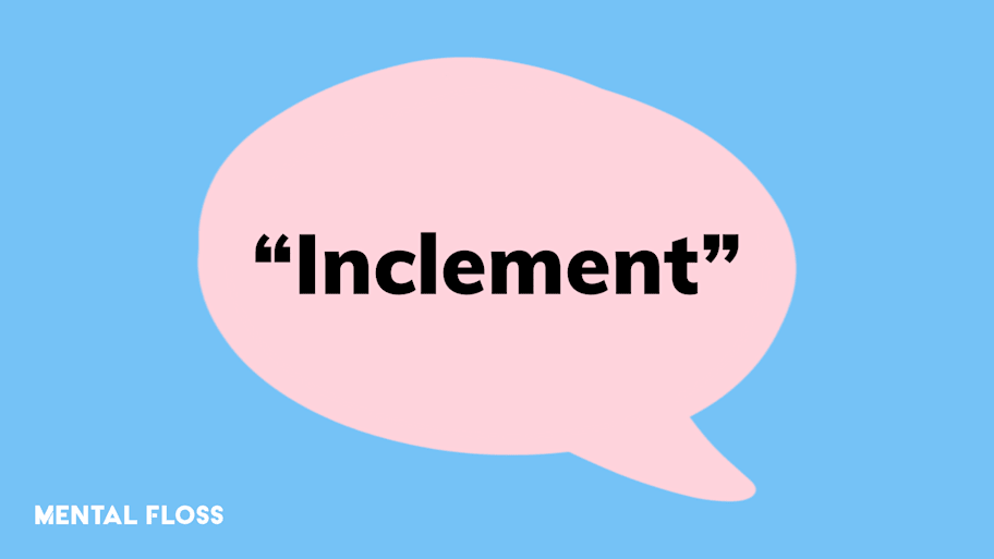 8 Words That Are Only Used in One Weirdly Specific Context