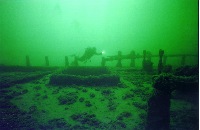 Shipwreck that could date back to the early 1800s found completely intact