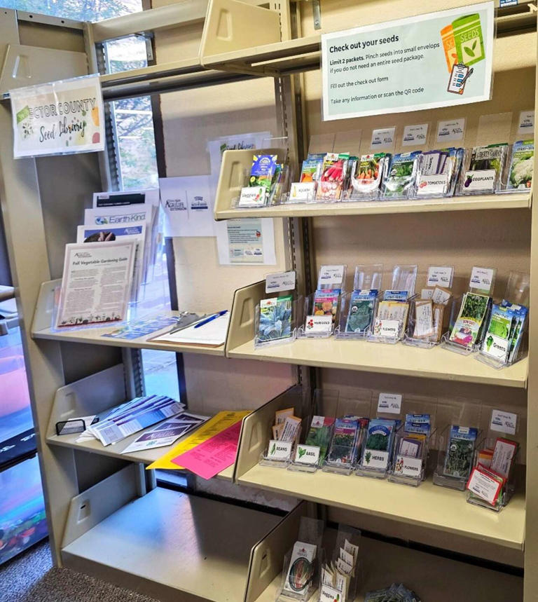 West Texas libraries launch seed libraries to share native seeds