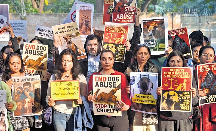 Stray dogs removed from Delhi public spaces, but fate remains unclear ...