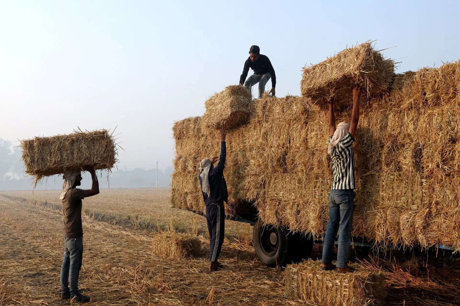 Utilising 7.3 mn tonnes of straw can produce renewable energy worth Rs ...