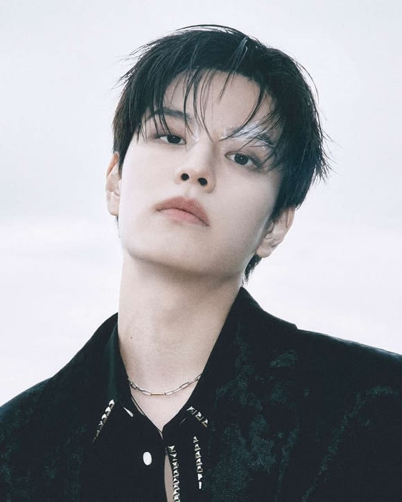 straykids スンミン Stray Kidsスンミン、愛されボーカルが歌手を目指した理由とは＜日本