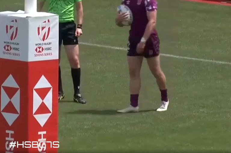 England and Argentina game was brought to standstill in 'bizarre' rugby ...