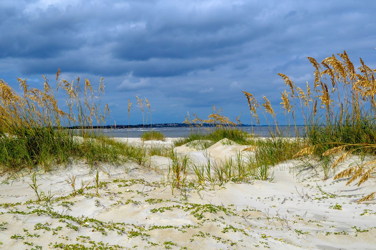 Sandy beach with grasses and sea oats overlooking the ocean against a cloudy sky