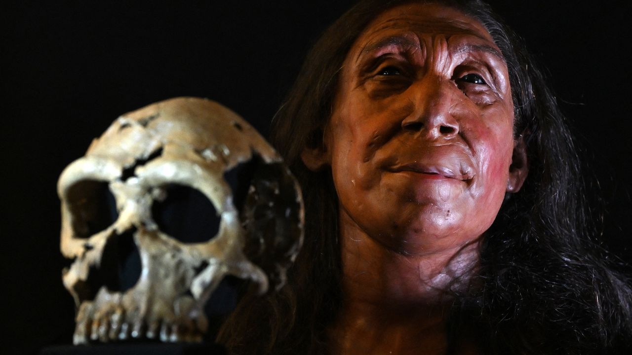 Neanderthals: Facts, news, features and articles about our extinct ...