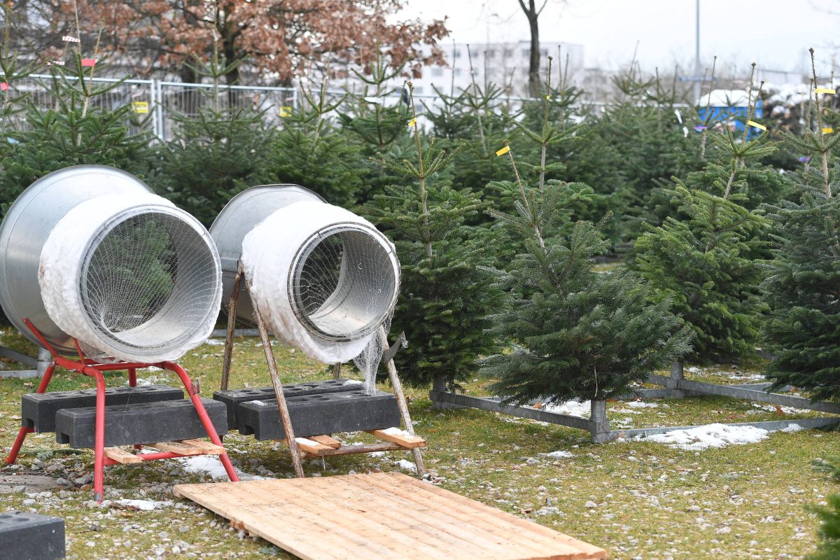 Norris hit by McLaren’s huge screwup but one move can save F1 title