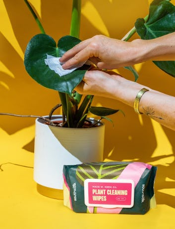 65 Hidden Gems That Have A Cult Following On Amazon Prime