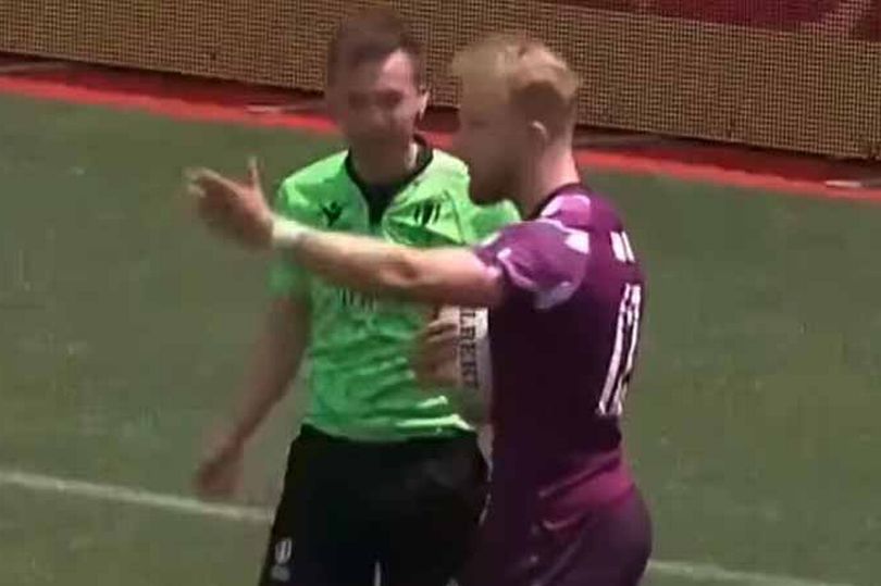 England and Argentina game was brought to standstill in 'bizarre' rugby ...