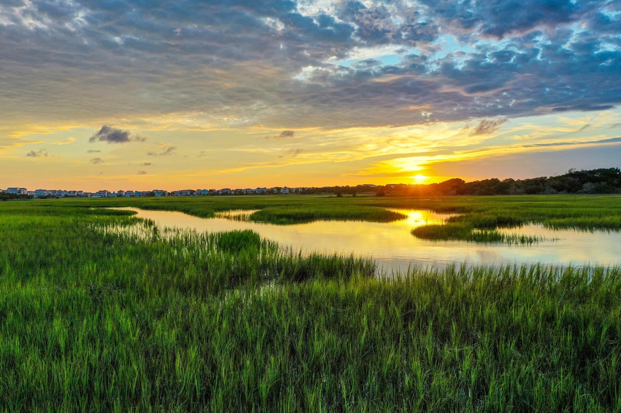 Wetlands with water channels at sunset grassy landscape and distant trees visible