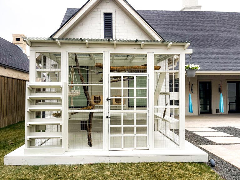 What can $125,000 buy your cat? An entire pet palace