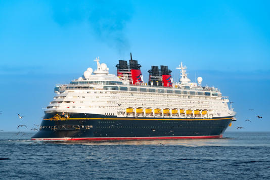 The 73-year-old man fell overboard from a Disney Wonder cruise ship this weekend (Picture: AaronP/Bauer-Griffin/GC Images)