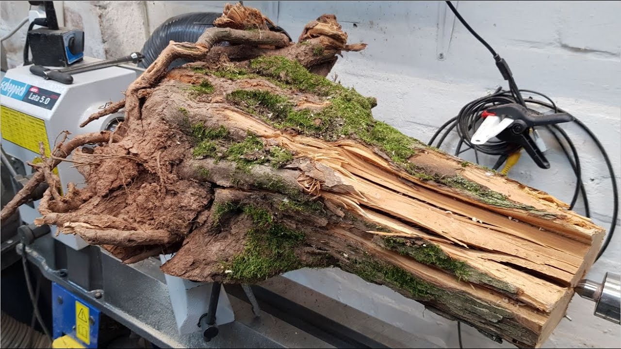 Turning a hawthorn root into a stunning resin lamp