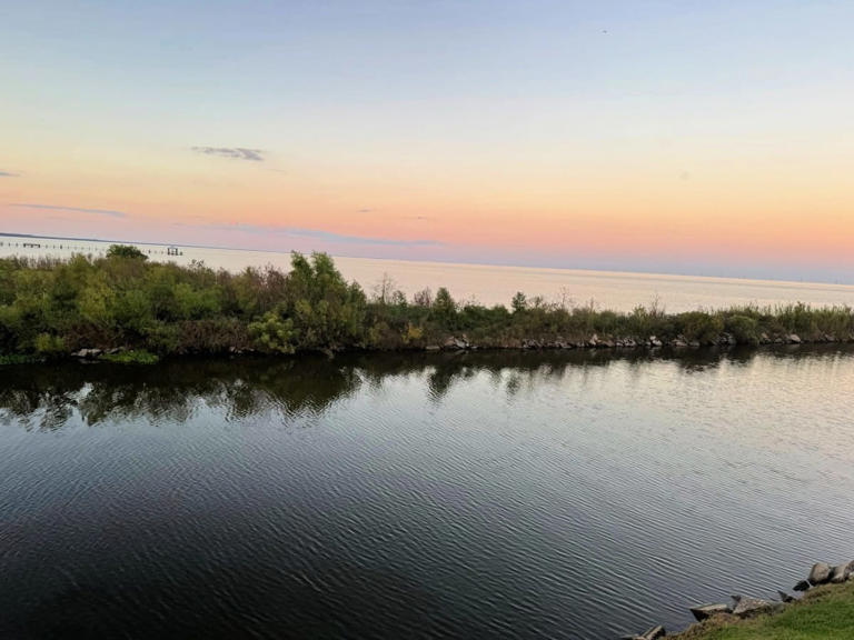 Exploring Louisiana River Parishes: History, Culture, and Southern Soul