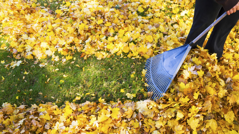 The Lesser-Known Yard Tool That Could Make Leaf Cleanup Faster And Easier