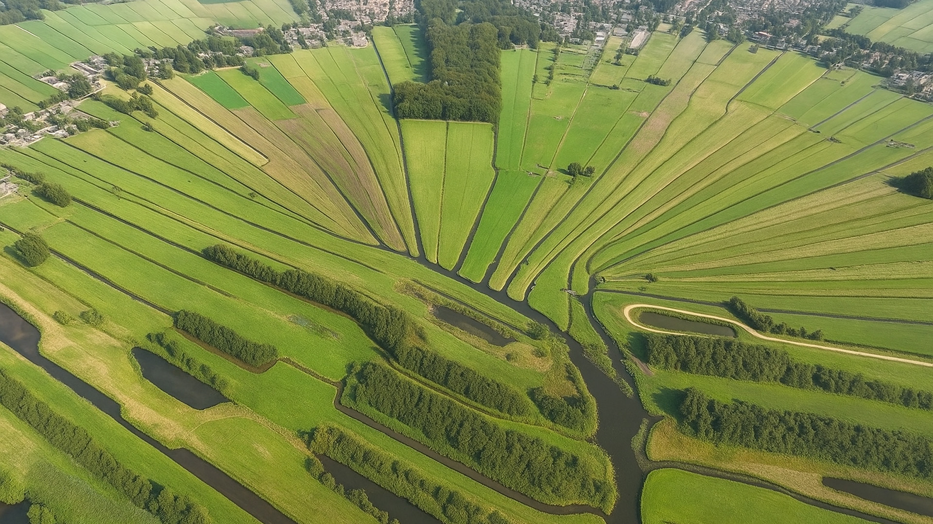 The Hidden Geometry of the Dutch Countryside