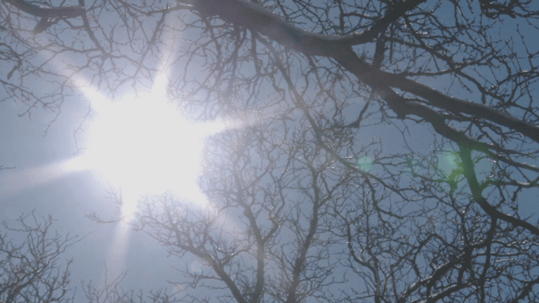 Iowa climate scientists warn of rising insurance costs due to climate ...