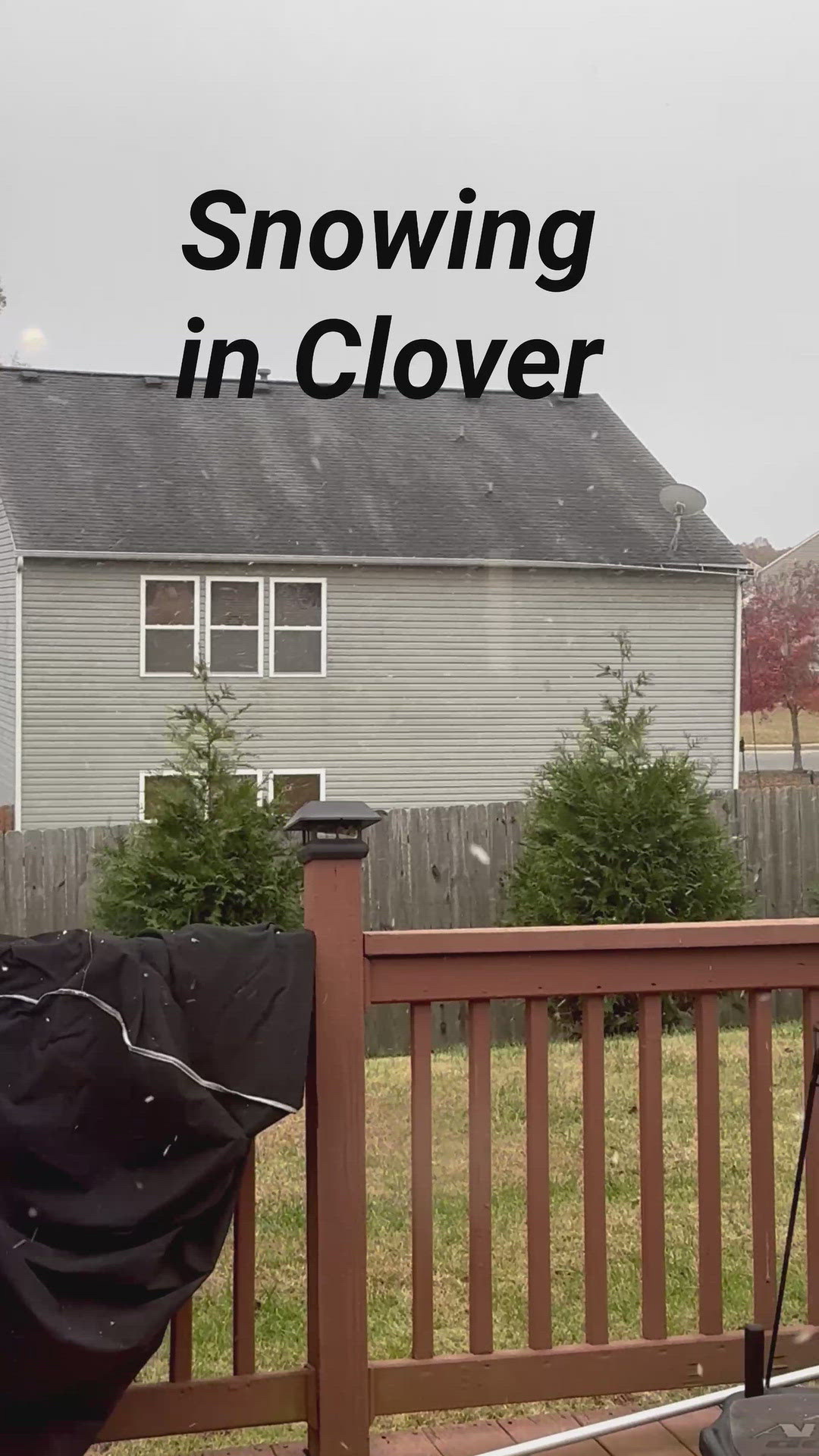 Snow in Clover!