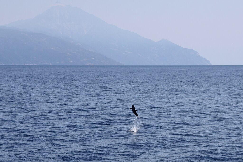 4 Fakta Unik Gunung Athos, Larangan Wanita Selama 1000 Tahun - Info Malang Raya AA1QaOsB - Info Malang Raya