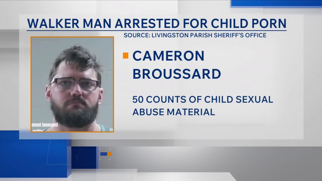 Livingston Parish man arrested on 50 counts of possession of child ...