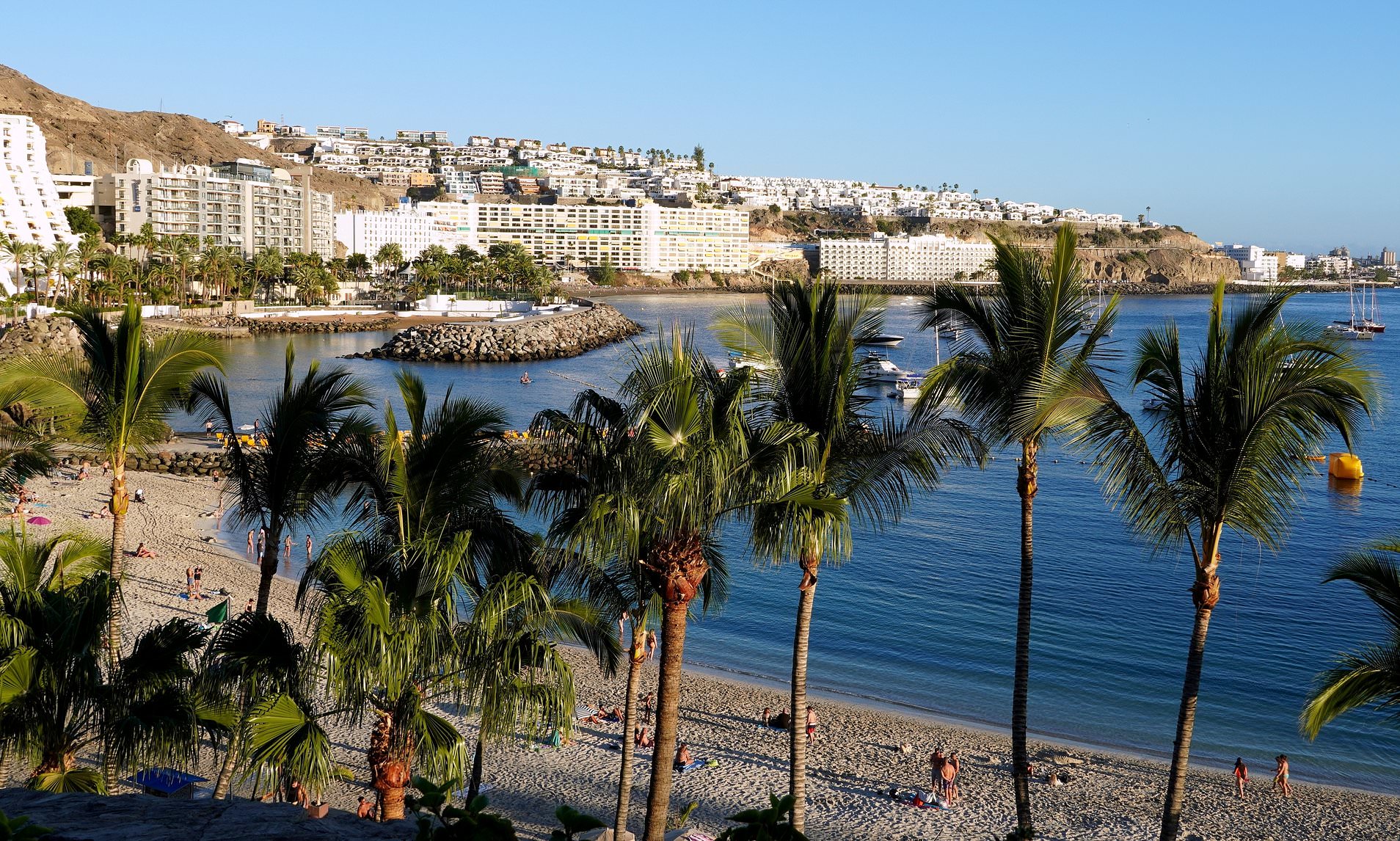Tourists disgusted as rotten fish spill closes a dozen popular Spanish ...