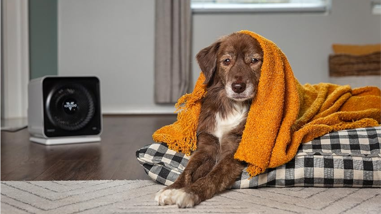 Best Portable Space Heaters Of 2026