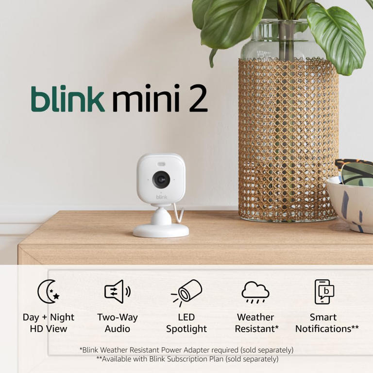 Amazon slashes Blink Mini 2 cameras to a jaw-dropping $27.99 (two-pack)