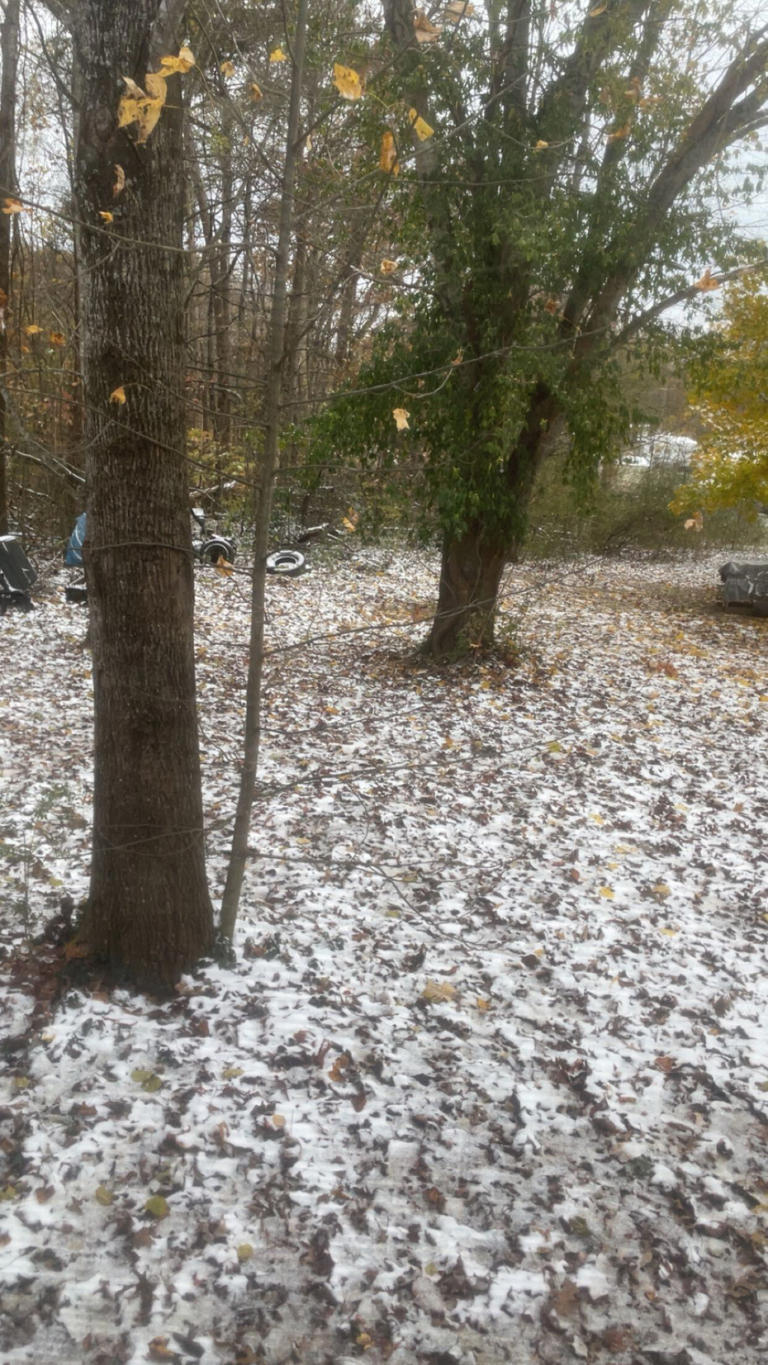 Pictures and videos: Early November snow falls across the Midstate