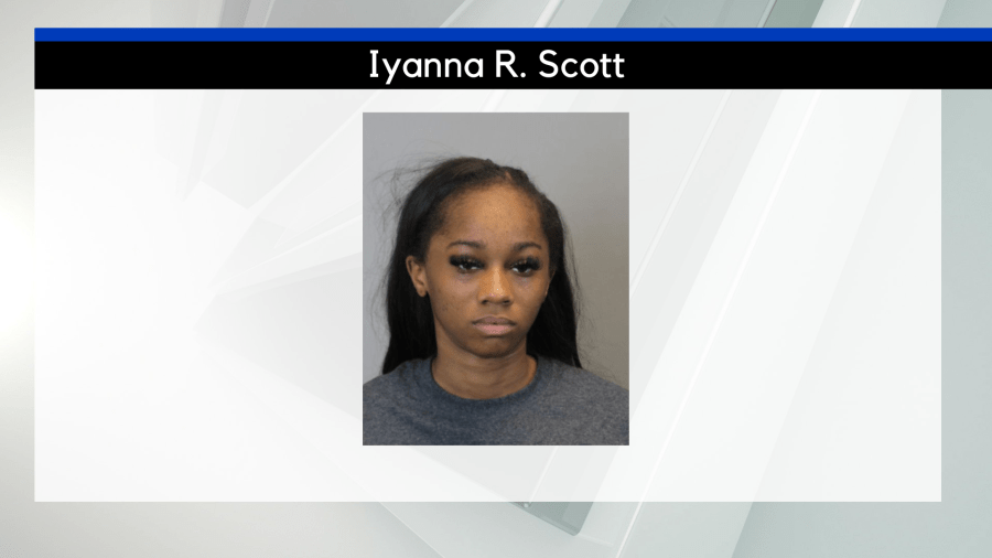 Buffalo woman admits to hitting, killing man after argument