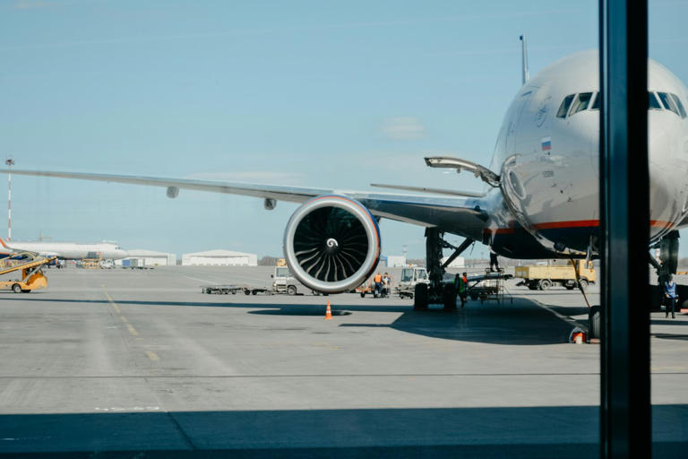 Angry Pilot Blasts Officials Over Air Travel Meltdown in Viral Video