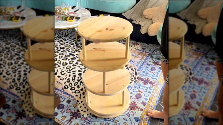 DIY Spinning Shoe Storage With A Budget-Friendly Idea From TikTok