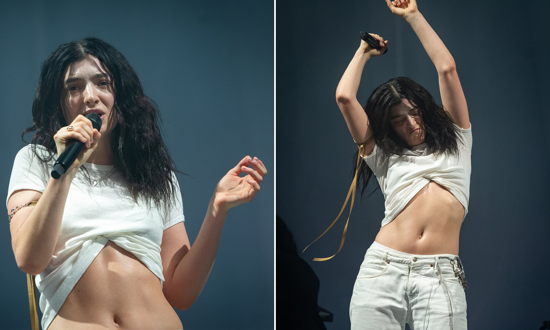 Lorde is forced to pull out of gig just hours before she was due on stage