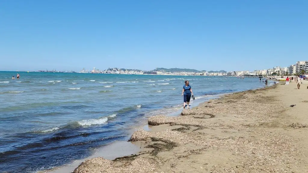 Sandra beim Spaziergang am Strand in Durres, Albanien.