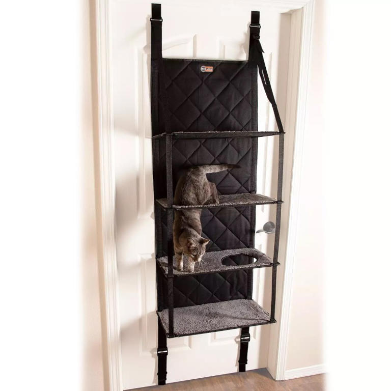Kohl's Is Selling an Innovative Cat Tree That's Purr-fect for Small Spaces
