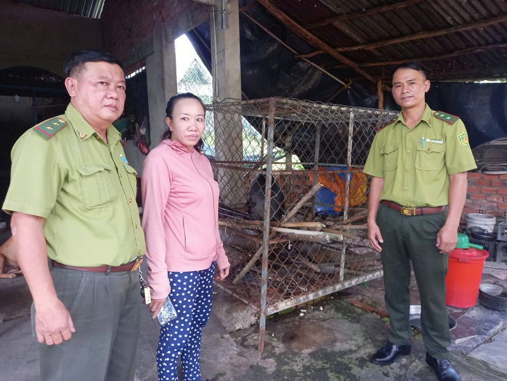 Người dân giao voọc bạc Đông Dương quý hiếm phát hiện trên sông Sài Gòn cho kiểm lâm