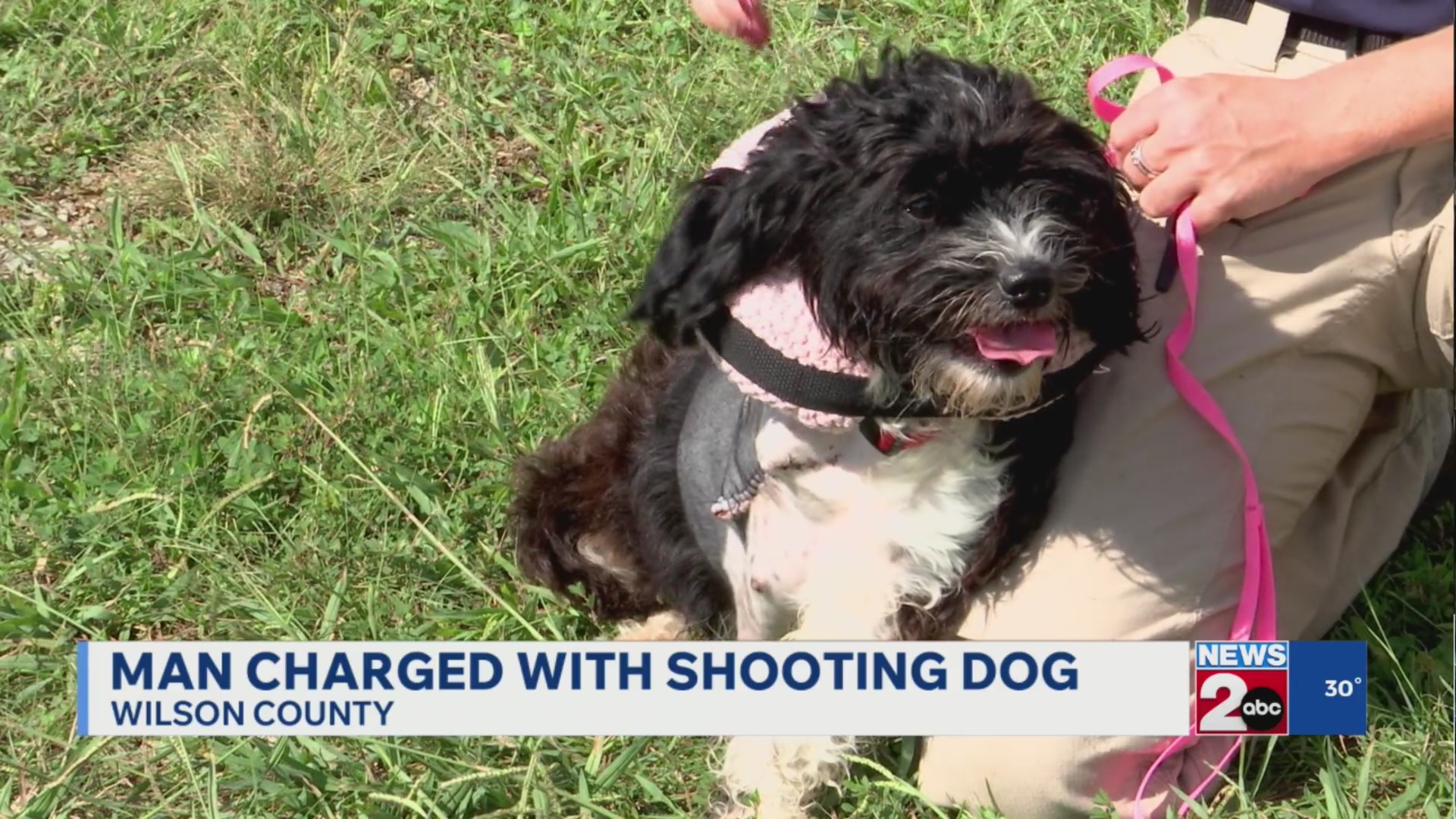 Man charged with shooting dog in Wilson County