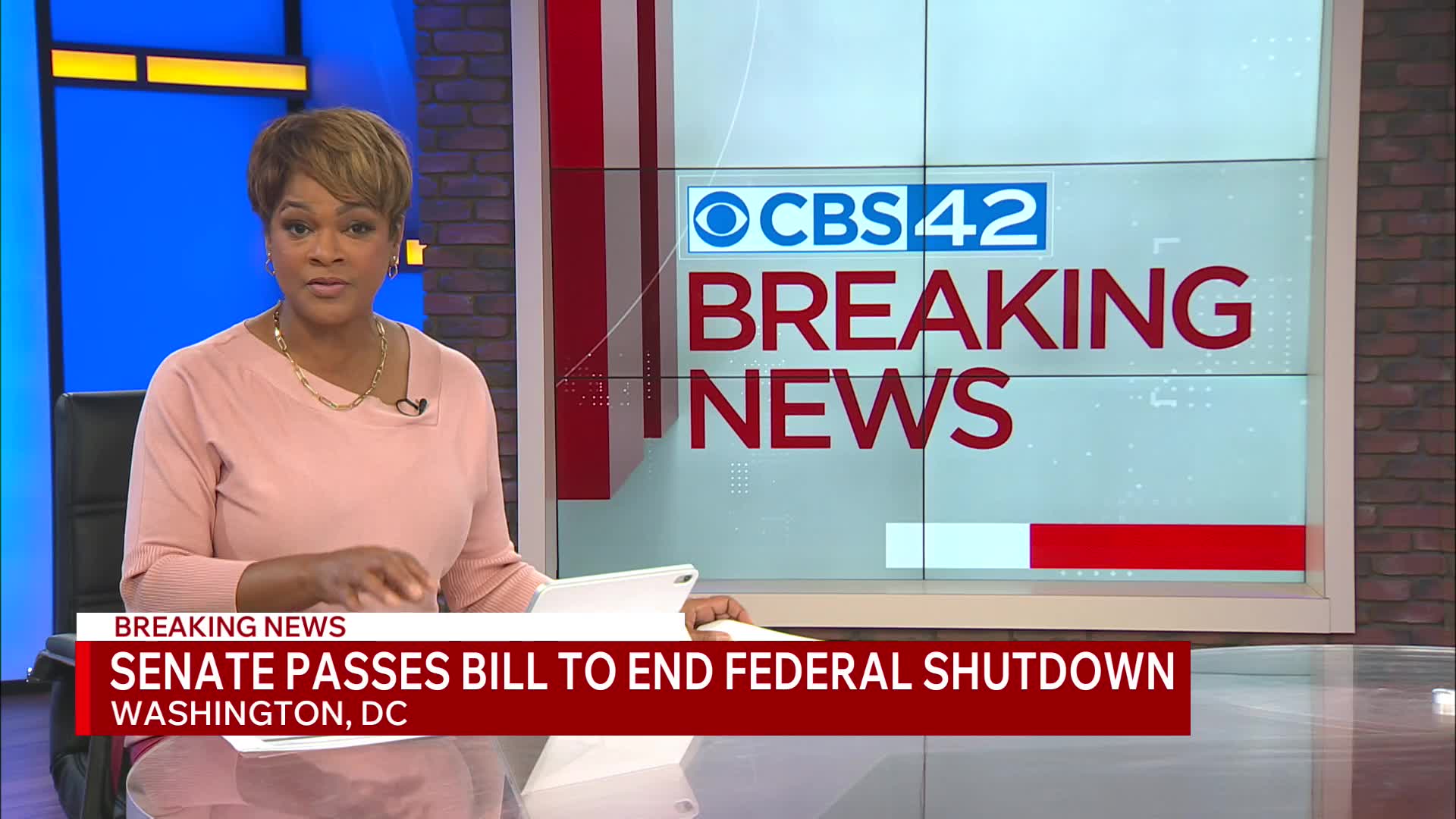 Senate passes bill to end government shutdown