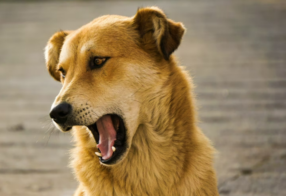 AA1Qba1U - Info Malang Raya