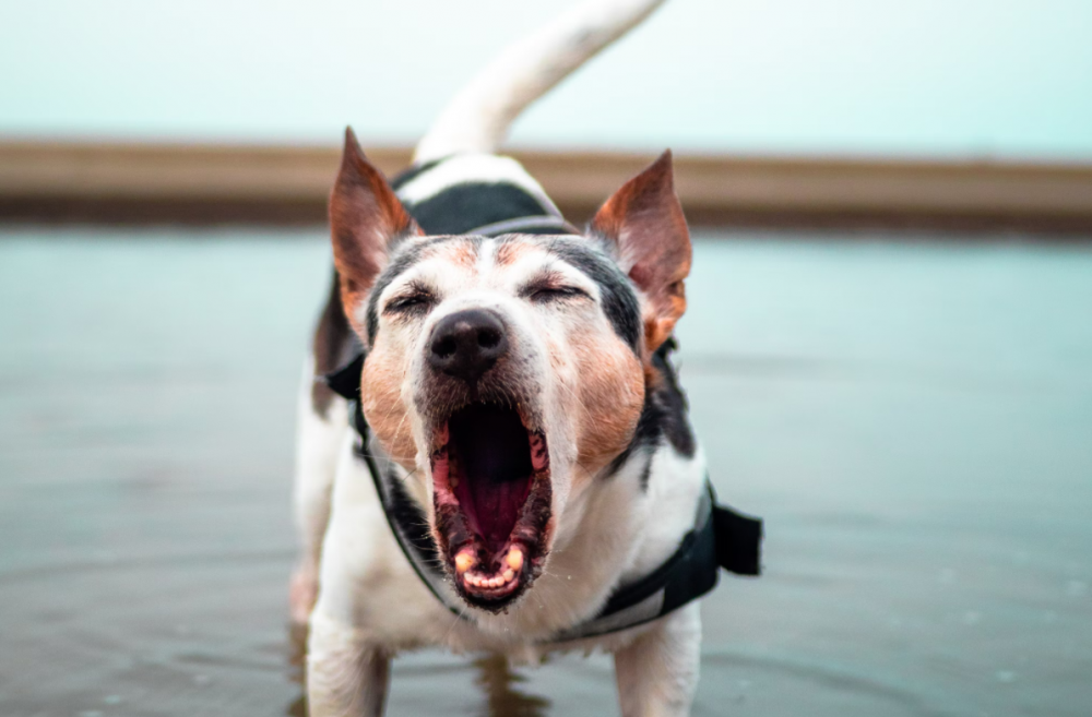 AA1Qbczi - Info Malang Raya