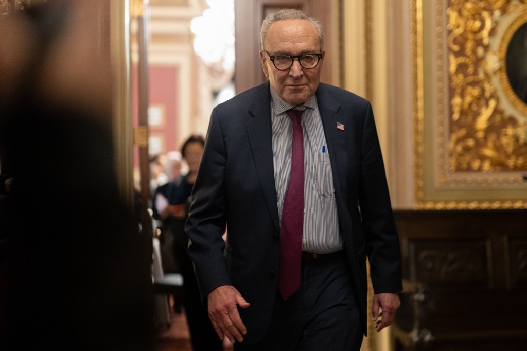 Anti-MAGA group calls for Chuck Schumer’s resignation after renegade ...