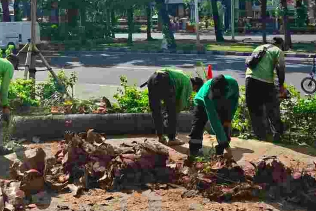 Antisipasi Cuaca Ekstrem, Pemprov DKI Pangkas Pohon