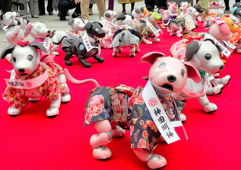 七五三に参加した晴れ姿のaibo=東京都千代田区
