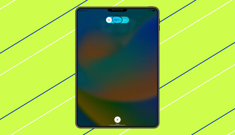 Elyse Betters Picaro / ZDNET