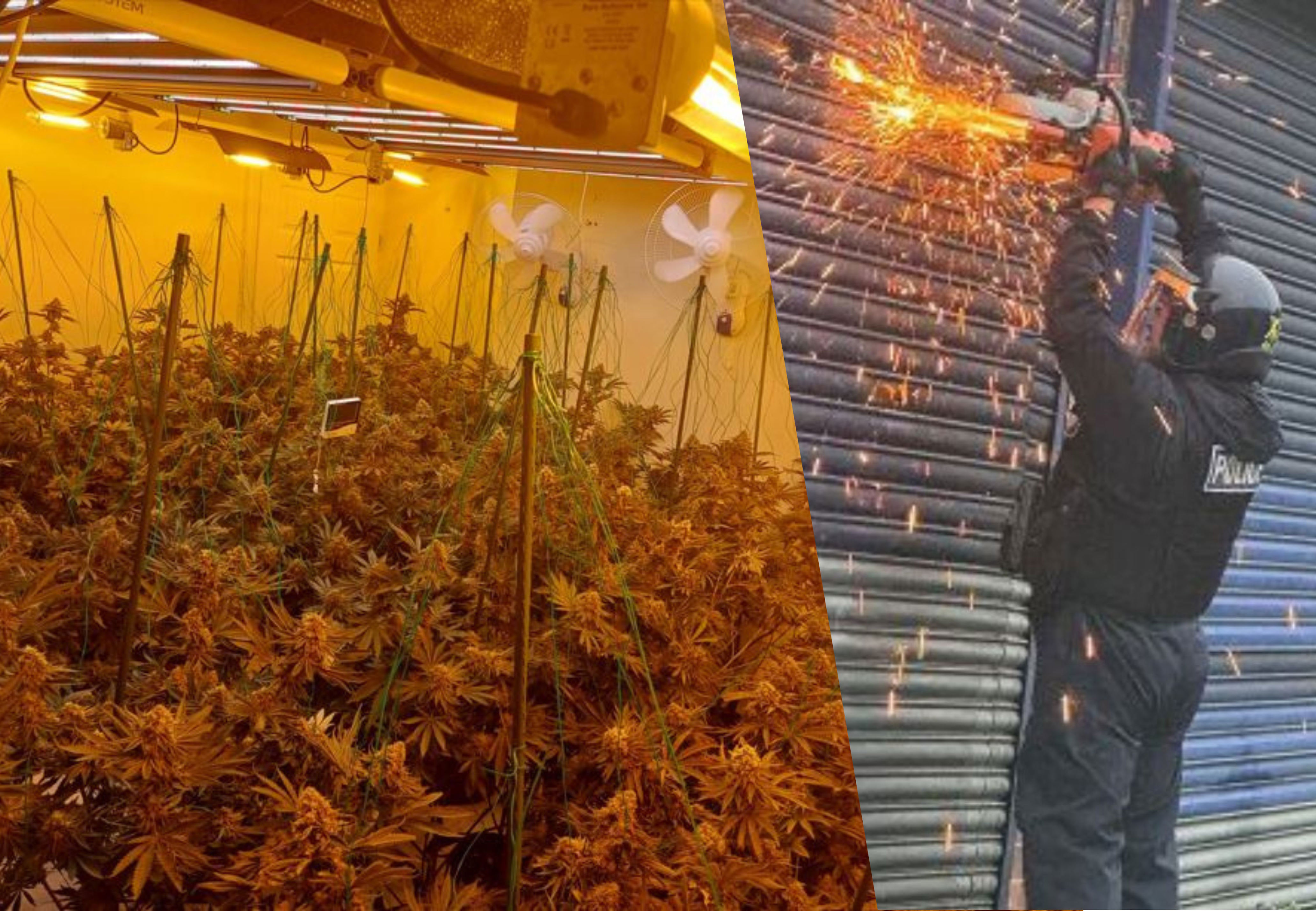 Page Hall: Two men arrested as police uncover large drug farms in Sheffield