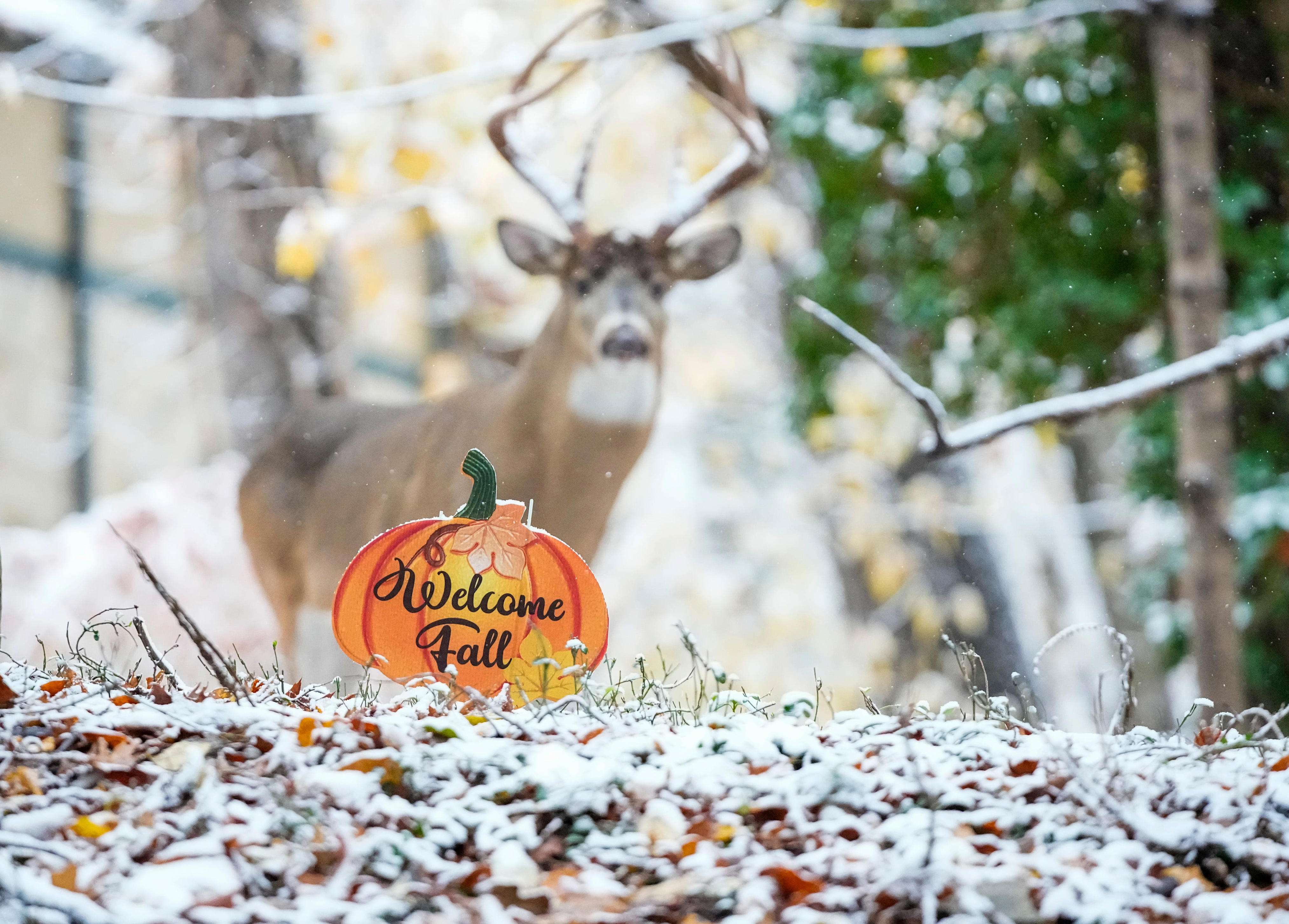¿Por qué hace tanto frío en el sur de Estados Unidos? ¿Y cuándo subirá la temperatura?
