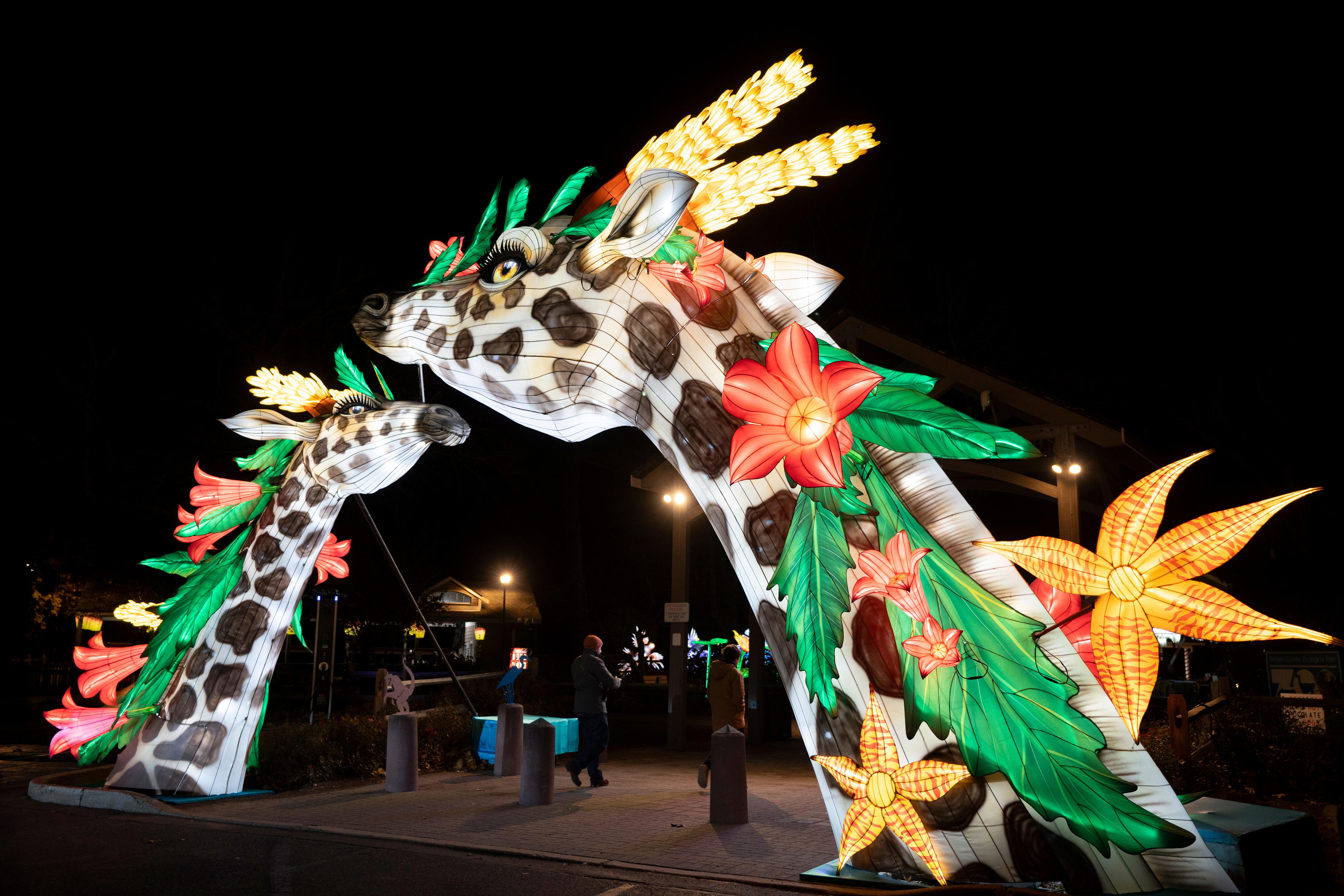 Bergen County's Winter Wonderland, Holiday Lantern Spectacular back at ...