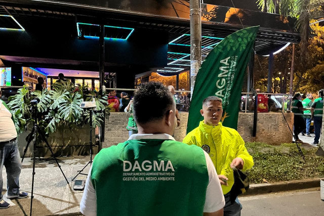 Tragedia en el sur de Cali: un hombre falleció tras caerle un árbol en ...