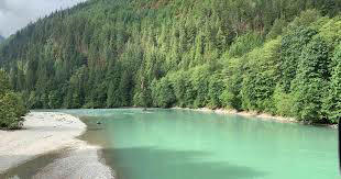 The wonders of a Fraser River tributary | Raincoast