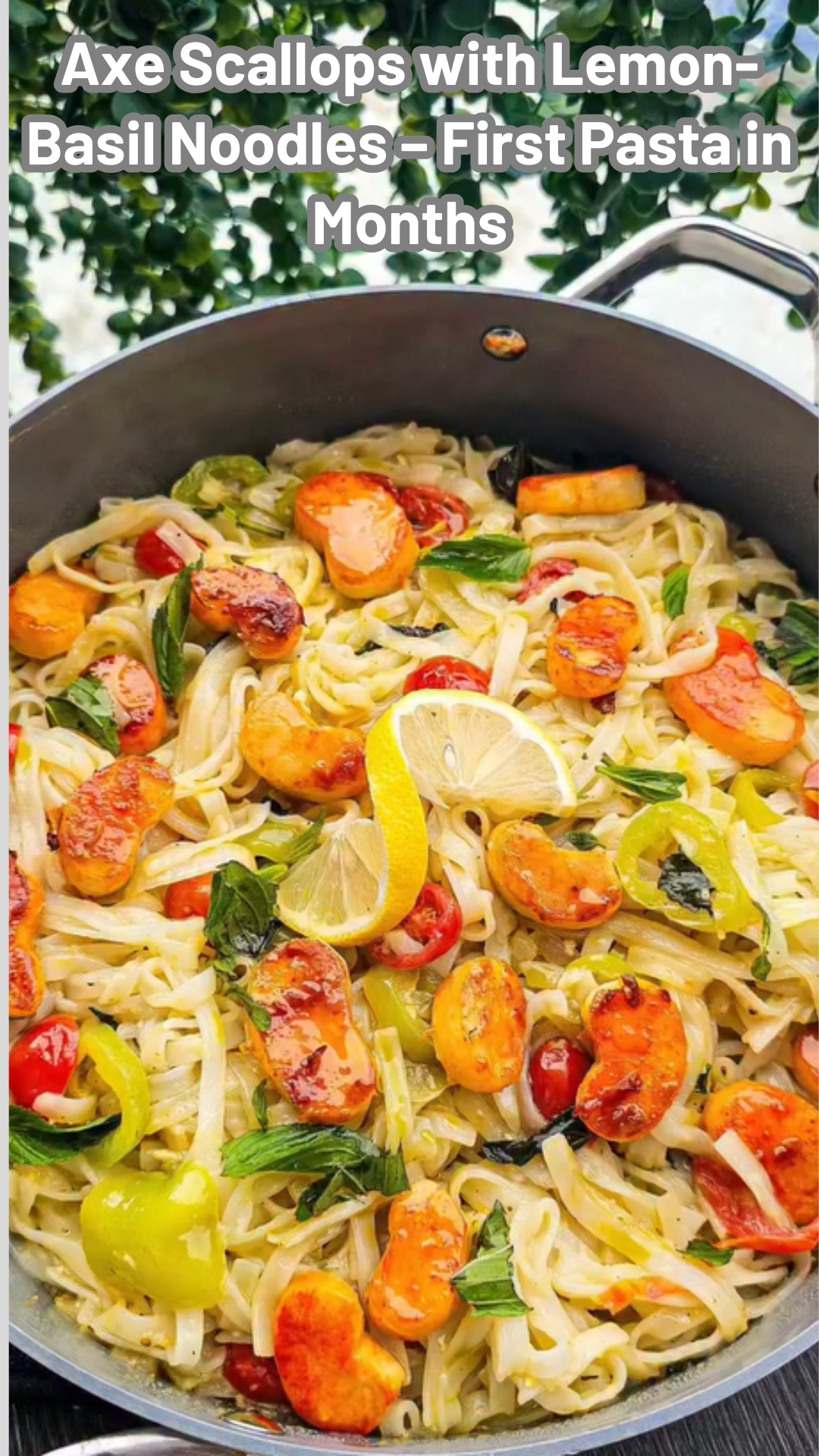 Axe scallops with lemon basil noodles recipe