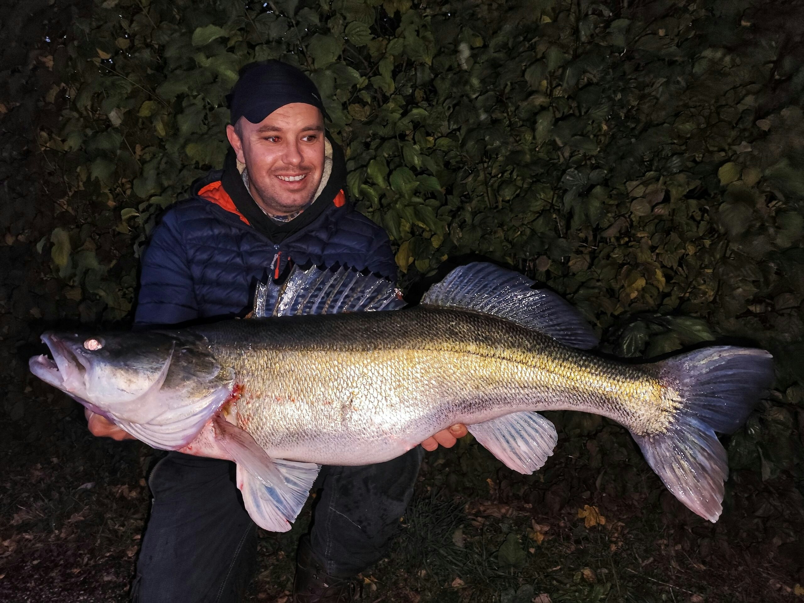 Giant canal zander is the biggest ever caught