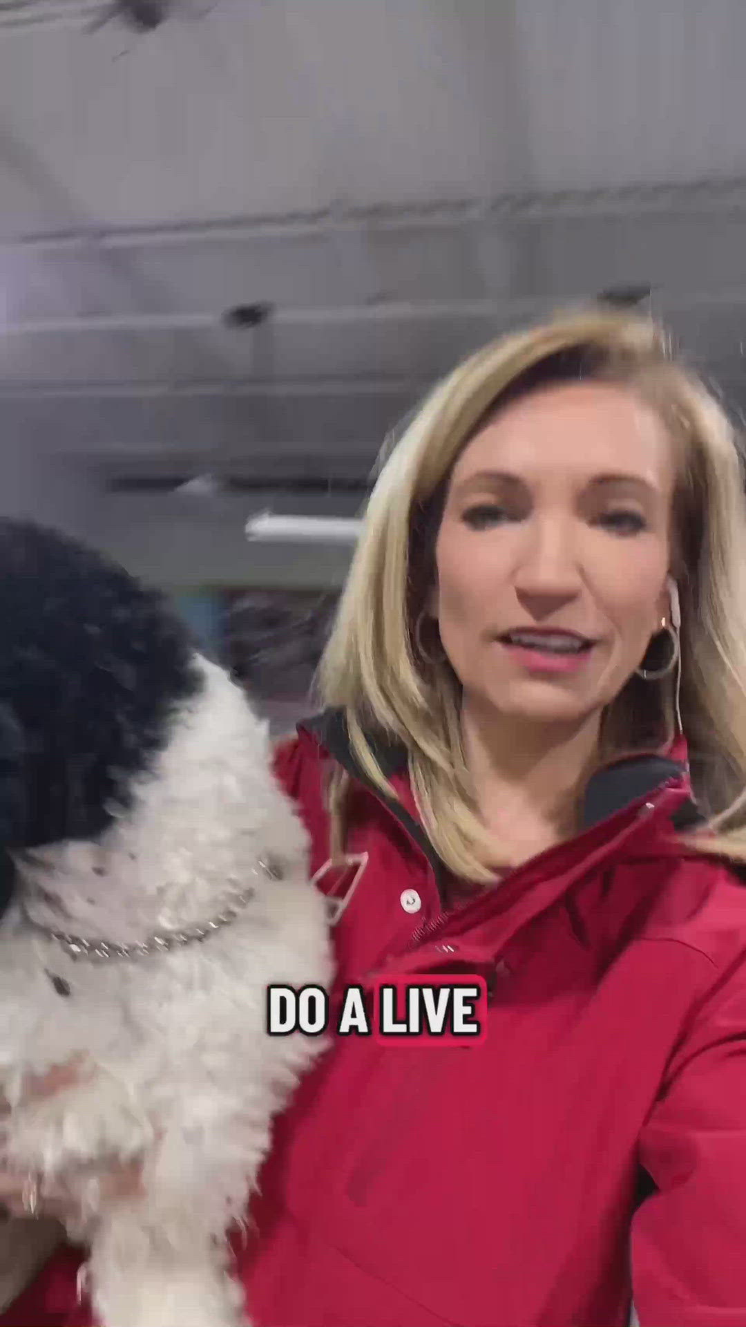 Live with service dogs in training